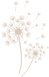 pusteblume-sand-transdpsrent-300